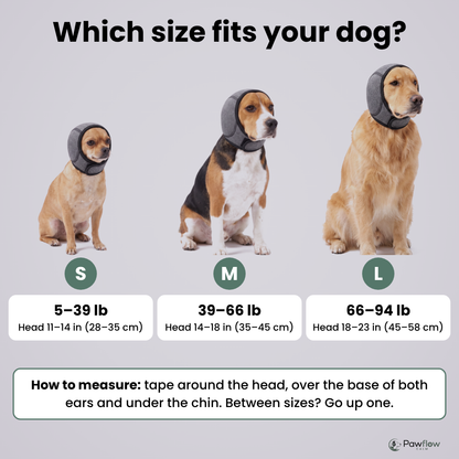 Which size fits your dog: S, M, L size guide